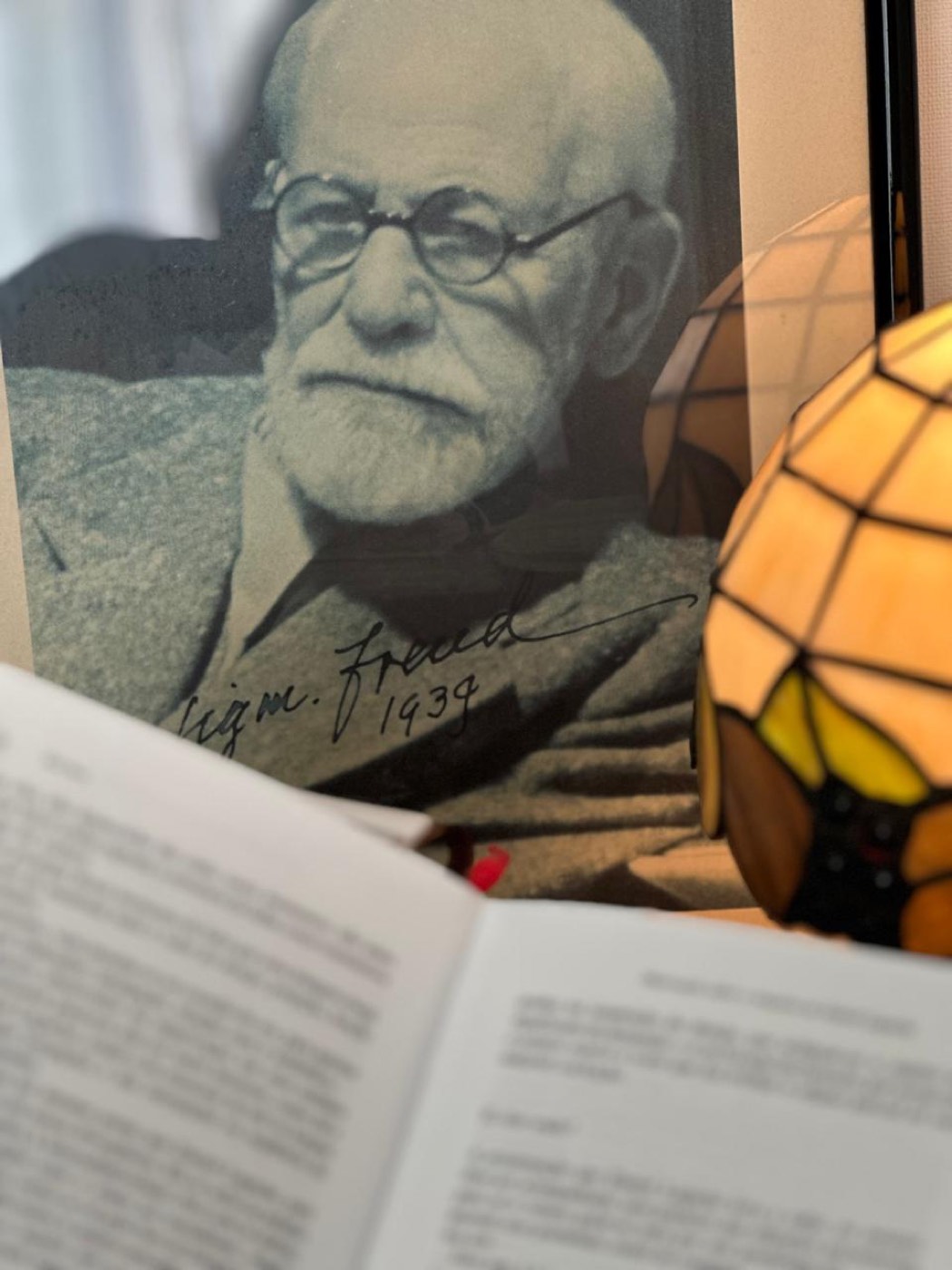 Retrato de Freud e luminária Tiffany, com livro em primeiro plano
